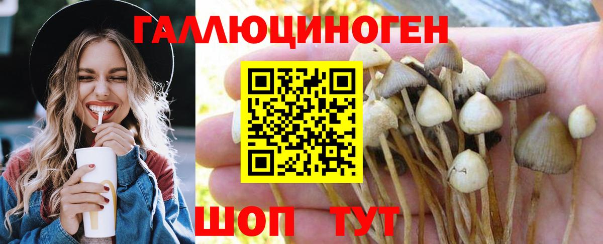 Псилоцибиновые грибы прущие грибы  Вход с VPN  Галлюциногенные грибы Psilocybe  Людиново 